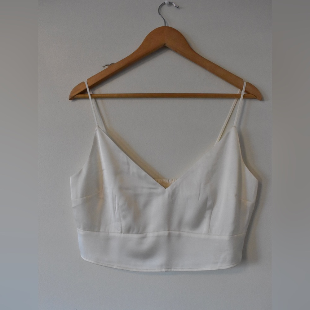 Abercrombie Cropped Top